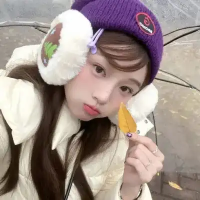 公凡梦
